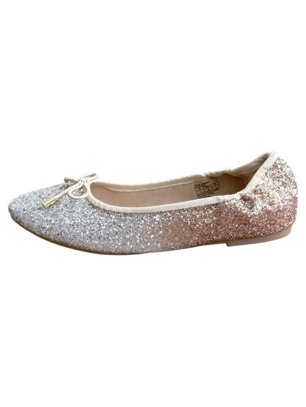 NWT Sam Edelman Felicia Gradient Ballerina Flats Size 5